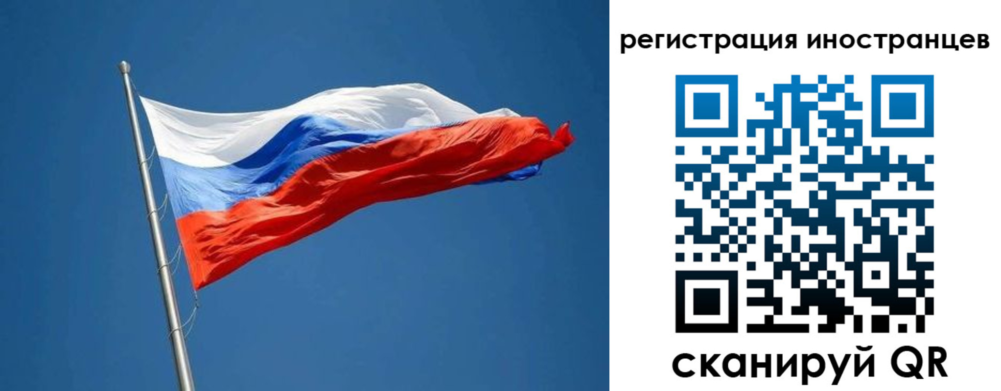 прописка поиск в Белгороде